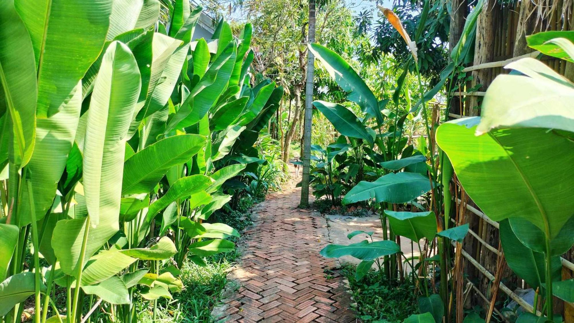Urban Farmhouse Siem Reap Exteriör bild
